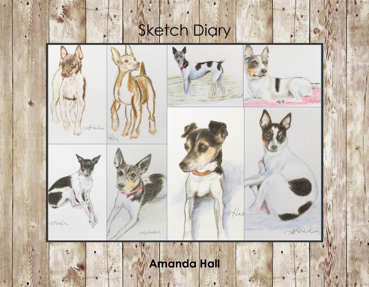 Sketch Diary Dogs