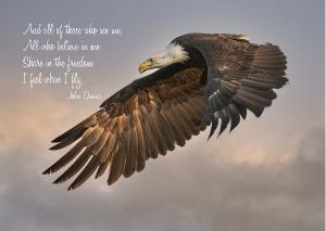 Eagle Card with John Denver Quote