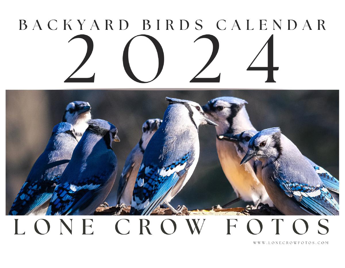 2024 Backyard Birds Calendar