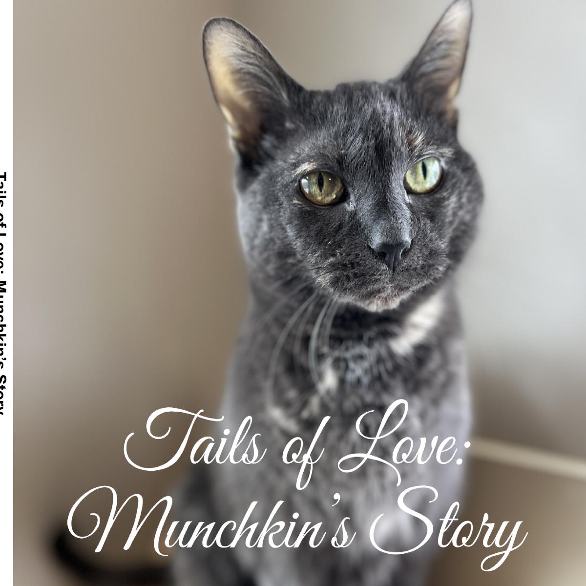 Tails of Love: Munchkin's Story
