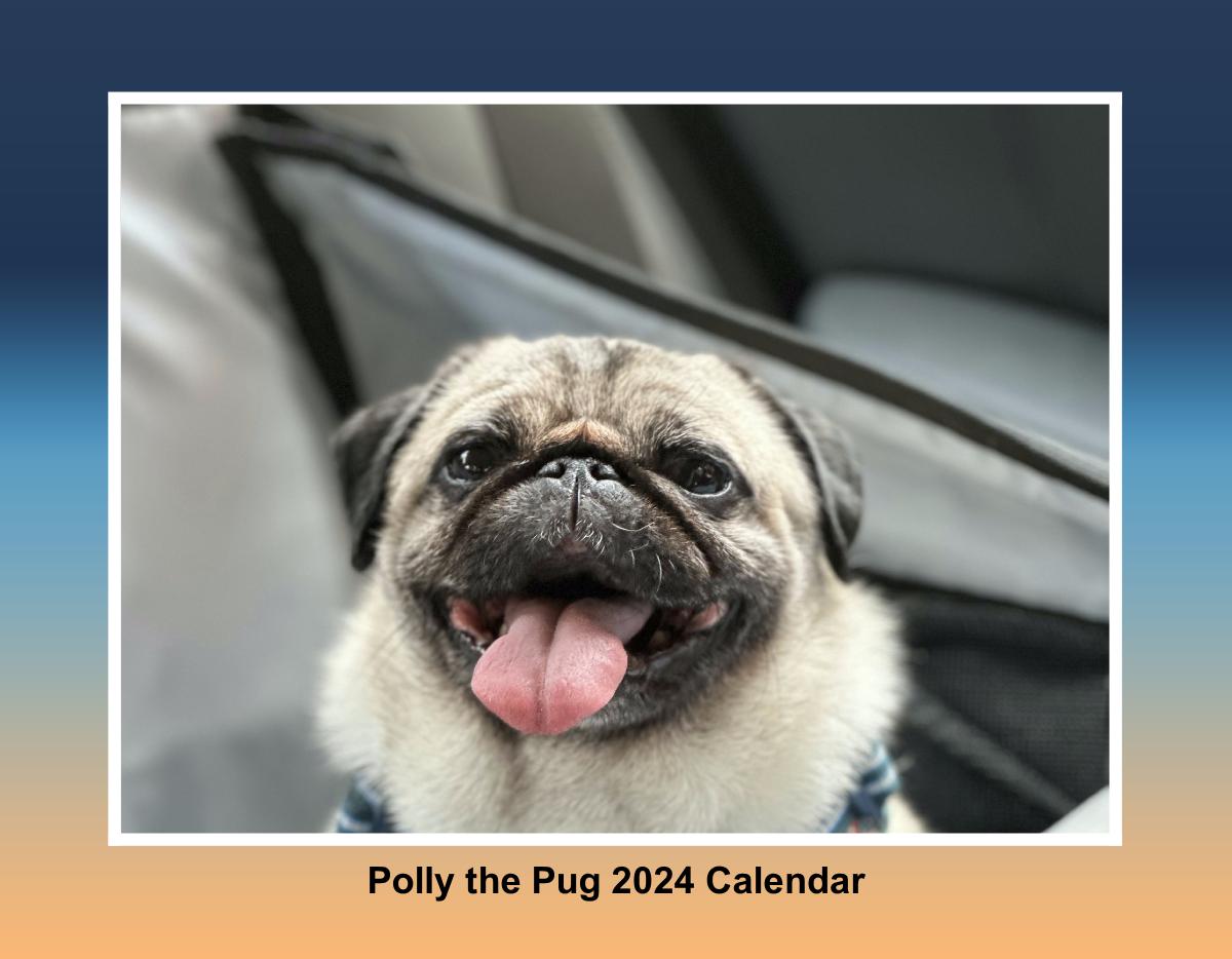 Polly the Pug 2024 Wall Calendar