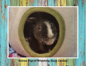 Guinea Pigs of Wheeking Souls Caviary Calendar