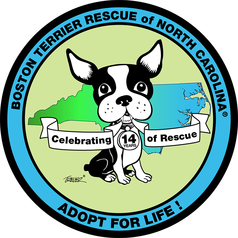 Boston Terrier Rescue of NC Calendar