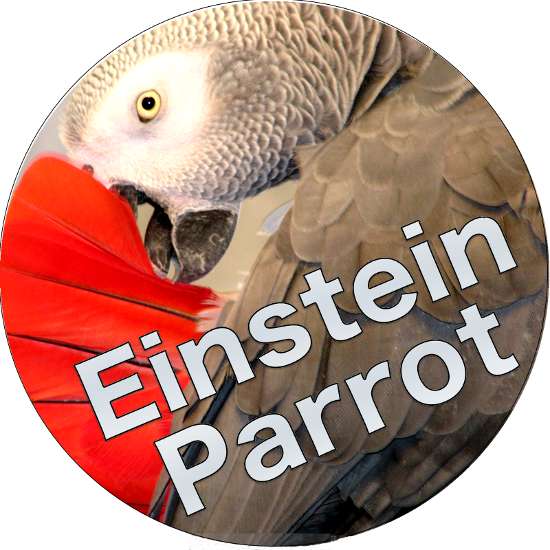 Einstein Parrot