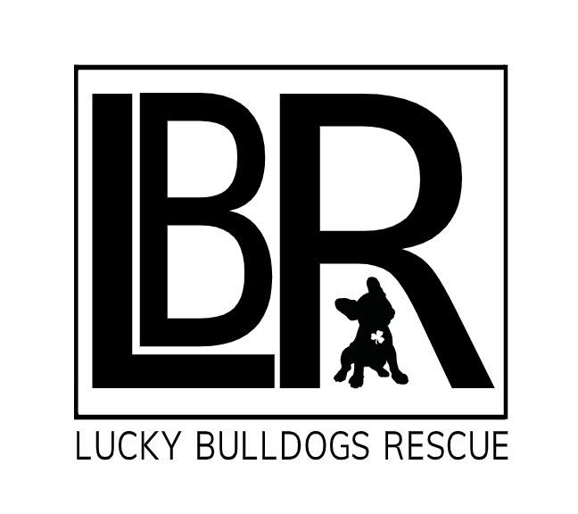 Lucky Bulldogs Rescue