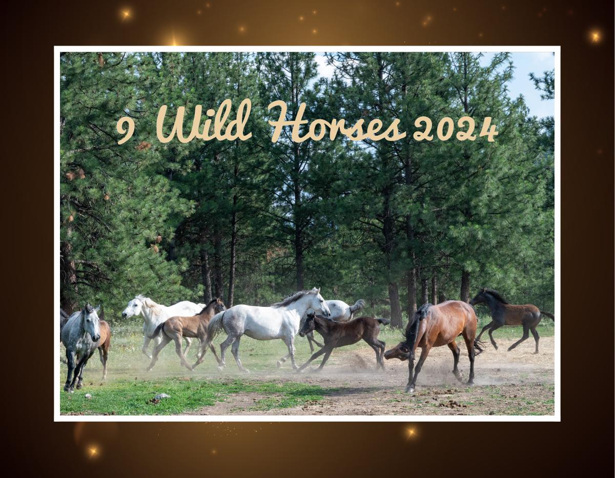 9 Wild Horses 2024 Calendar
