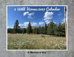 9 Wild Horses 2023 Calendar