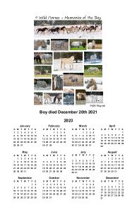 9wildhorses