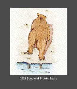 2022 CD Case Calendar Bundle of Bears