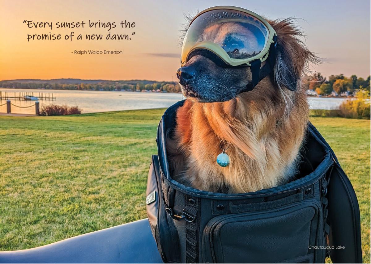 Greeting Card- Moto Sunset