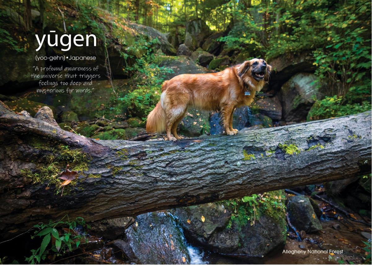 Greeting Card- Yugen