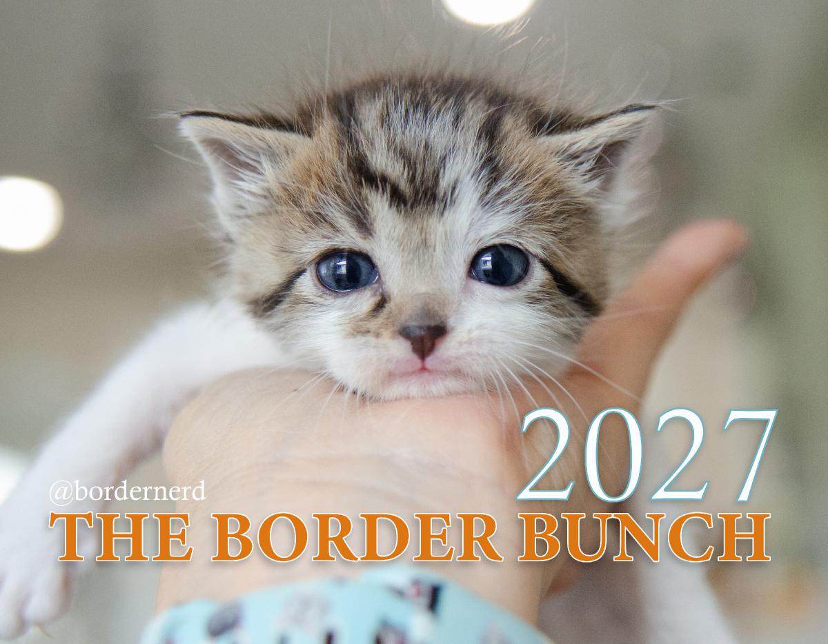 The Border Bunch USA 2027