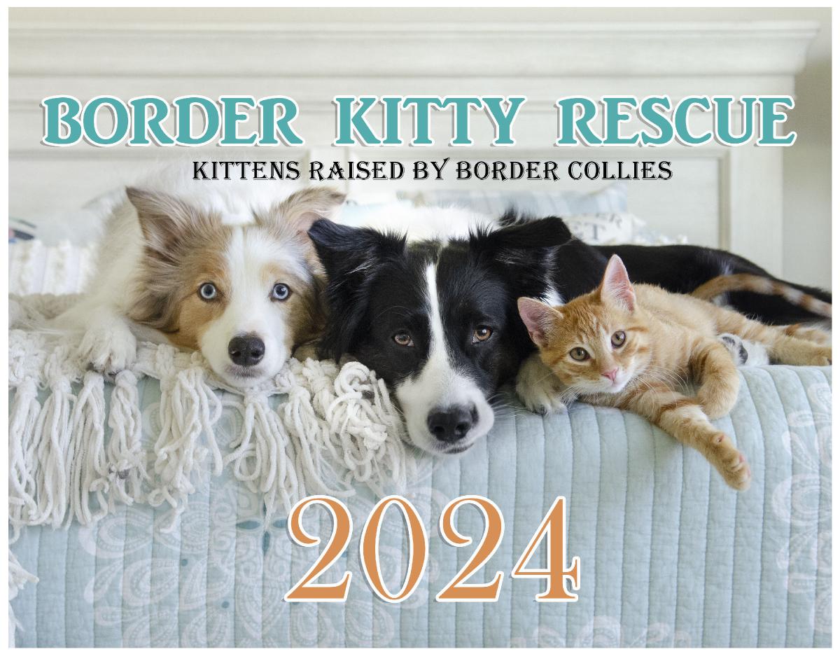 Border Kitty Rescue 2024 No Calendar Dates