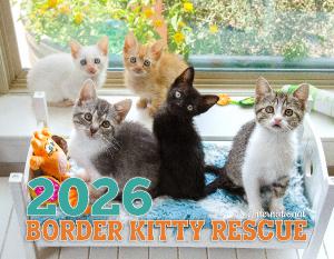 Border Kitty Rescue 2026 International