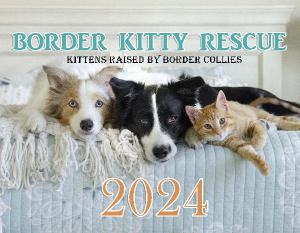 BORDER KITTY RESCUE 2024 B