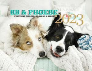 BB, Phoebe and kittens 2023
