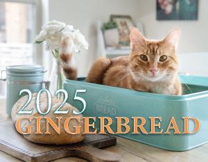 Gingerbread Calendar 2025