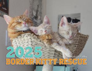 Border Kitty Rescue 2025 International