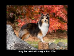 Katy Robertson 2026 Calendar