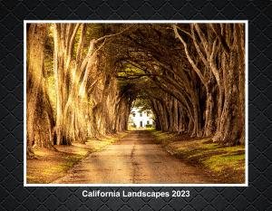 California Landscapes 2023