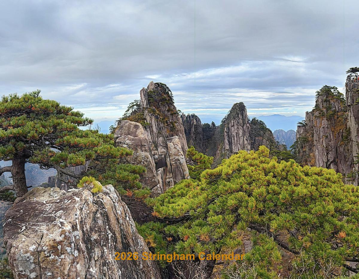 2026 Stringham Calendar