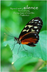 Butterfly - 8x5 Journal