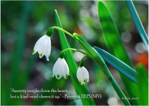 Snowdrops Folded Note Card