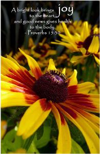 Rubeckia Flowers - 8x5 Journal