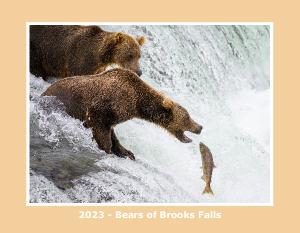 2023 Bears of Brooks Falls V2