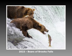 2023 Bears of Brooks Falls V3