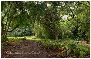 Ho'omaluhia Gardens
