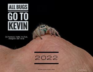 All Bugs Go to Kevin 2022 Calendar