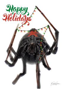 Happy Holidays Black Widow Greeting Card