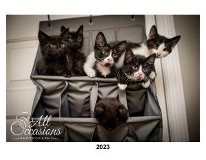 2023 Kitten Calendar - Proceeds donated