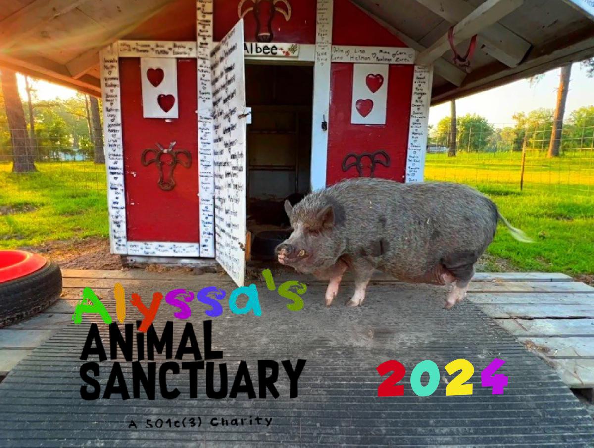 Alyssa's Animal Sanctuary Pig Lover 2024 Calendar