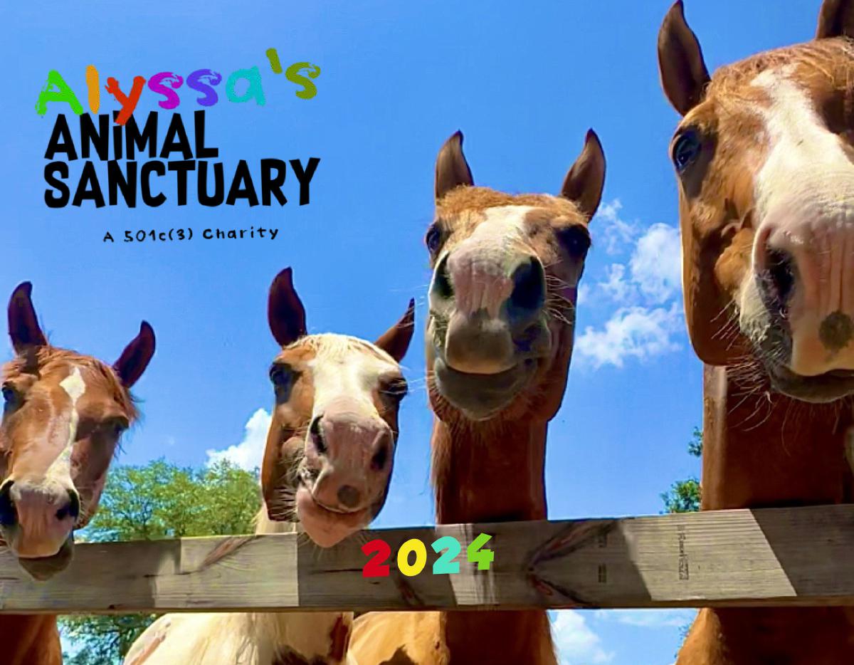 Alyssas Animal Sanctuary Horse Lover 2024 Calendar