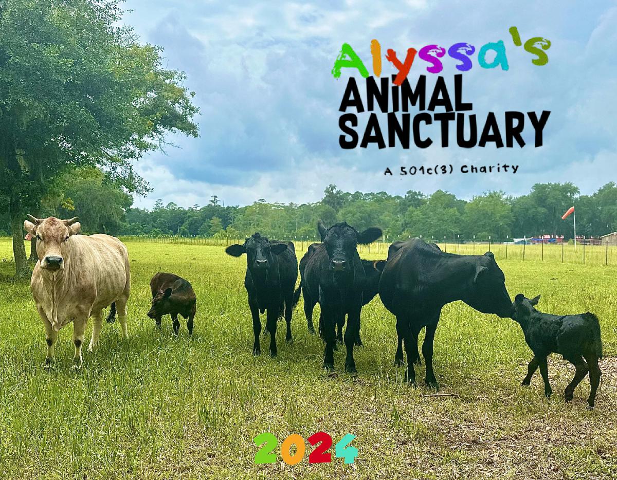 Alyssa's Animal Sanctuary Cow Lover 2024 Calendar