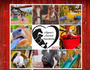 Alyssa's Animal Sanctuary 2022 Calendar