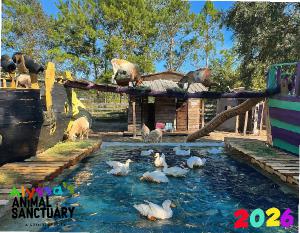 Alyssa's Animal Sanctuary 2026 Calendar