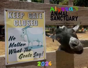 Alyssa's Animal Sanctuary Goat Lover 2024 Calendar