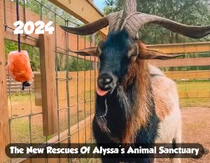 The New Rescues Of Alyssa's Animal Sanctuary