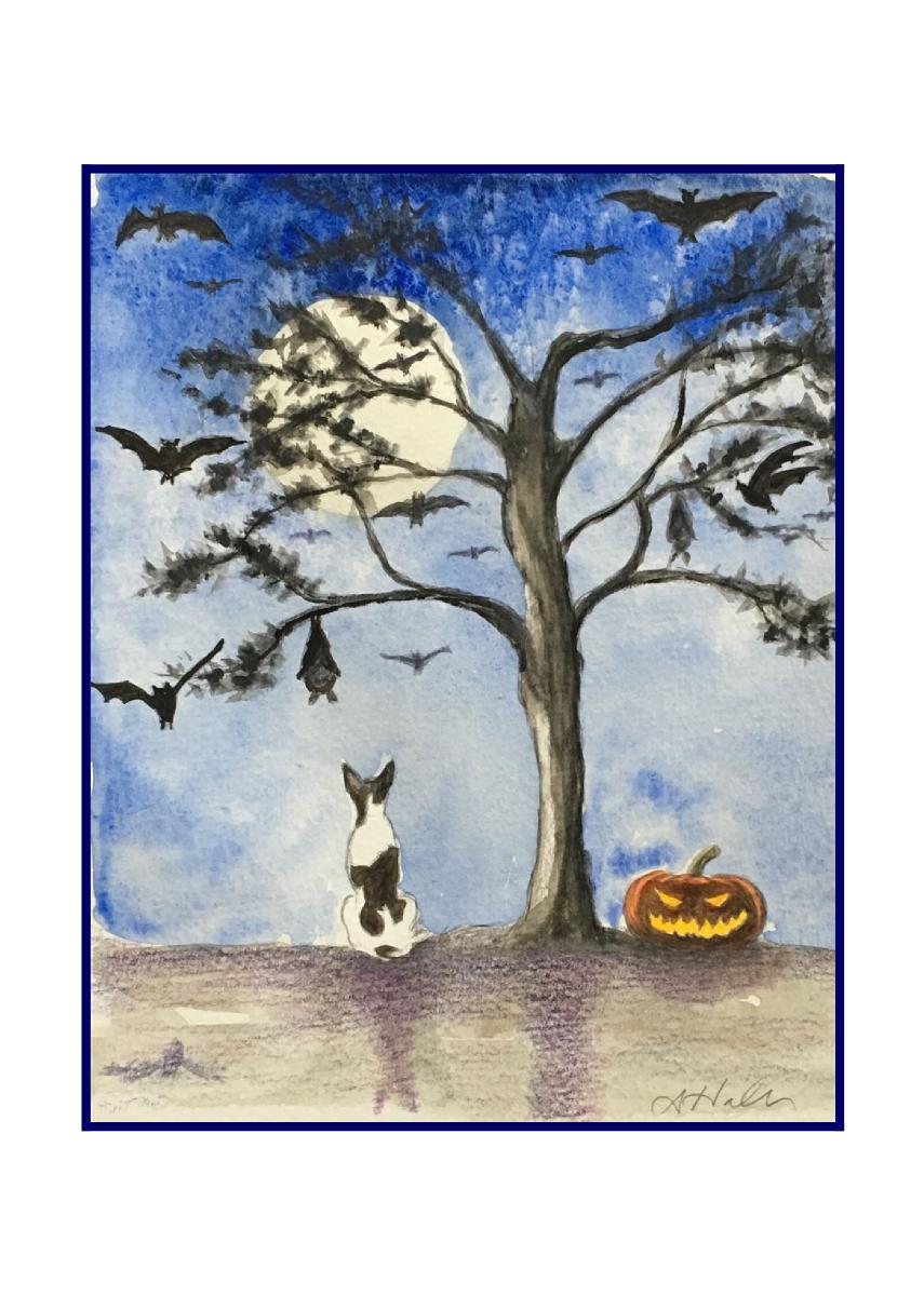 Bewitched by Bats