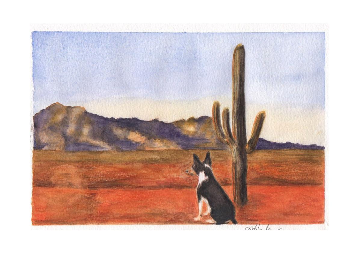 Desert Rattie