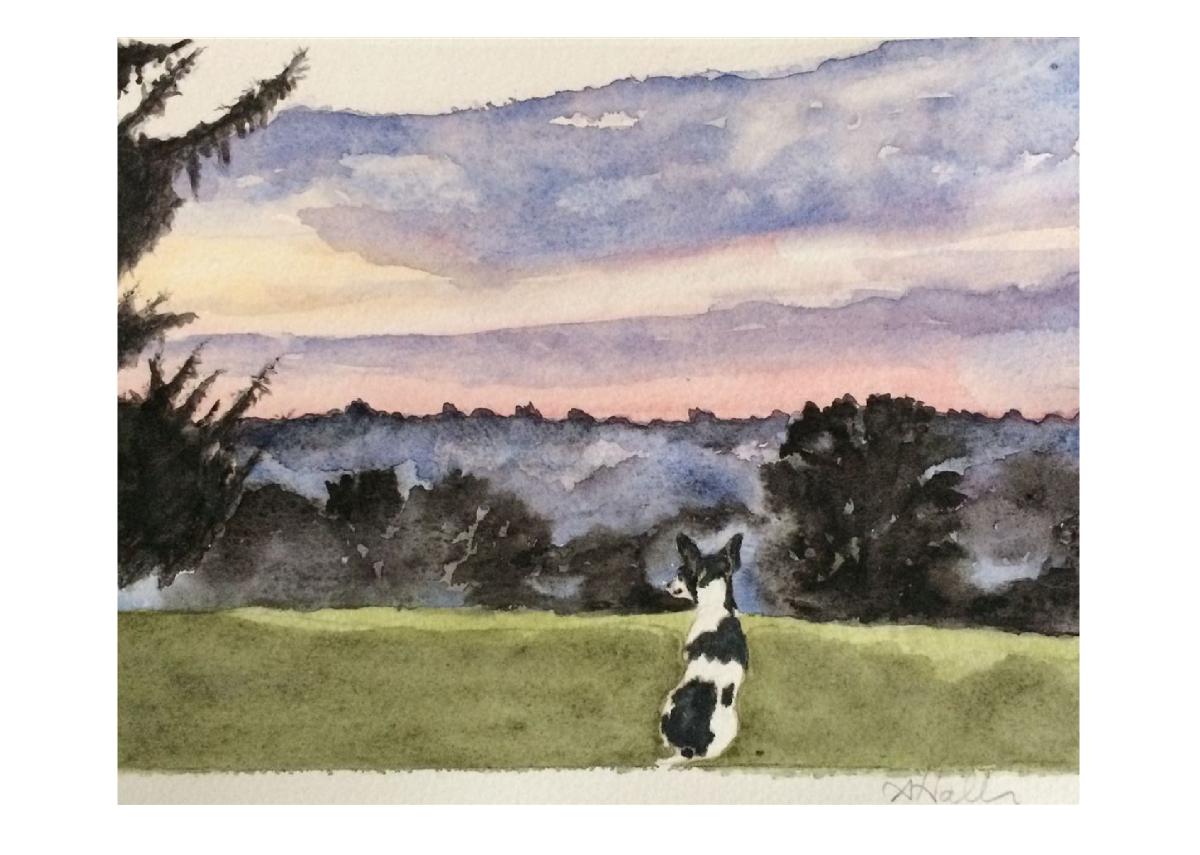 Blue Ridge Rattie