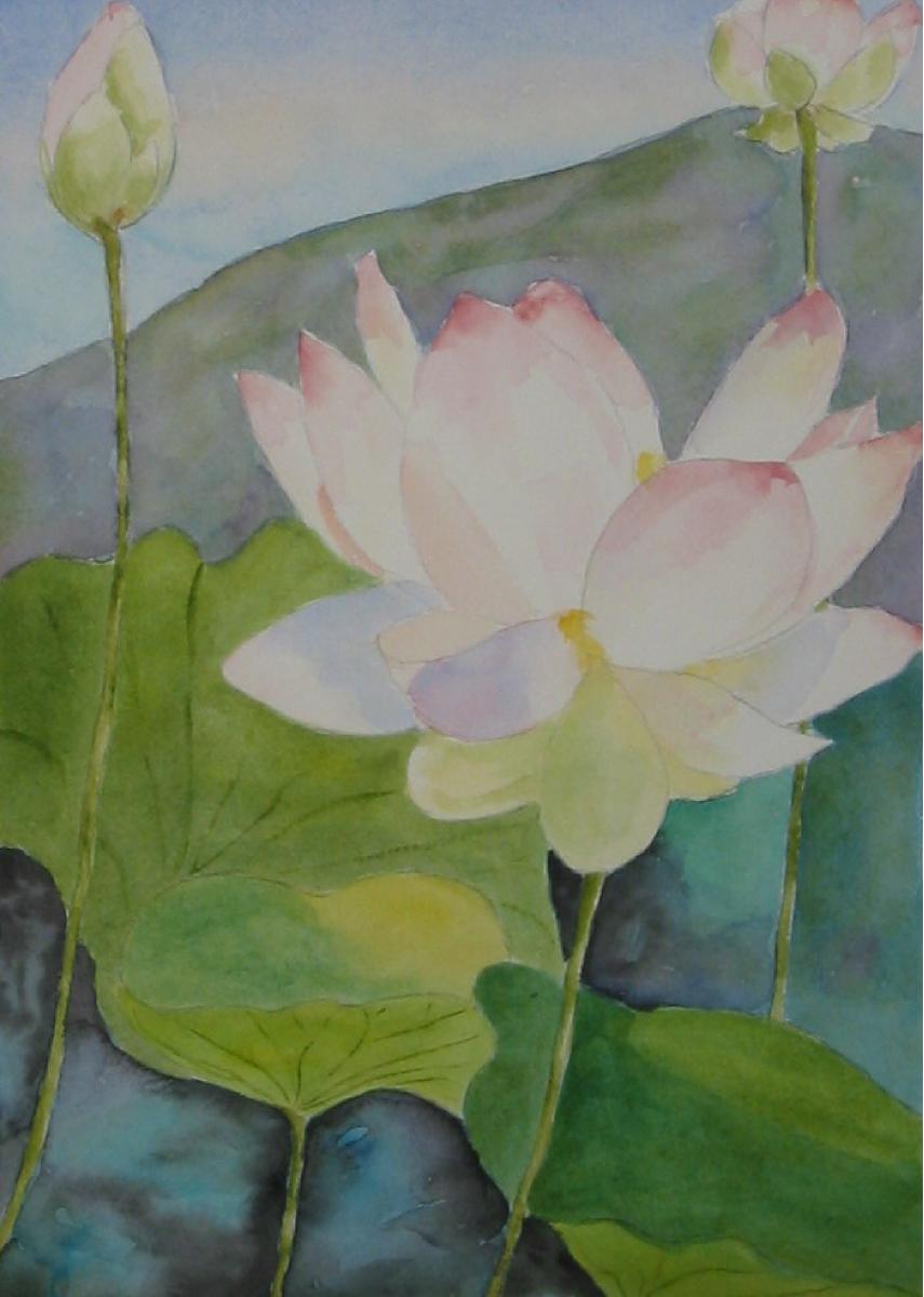 Lotus Pond II