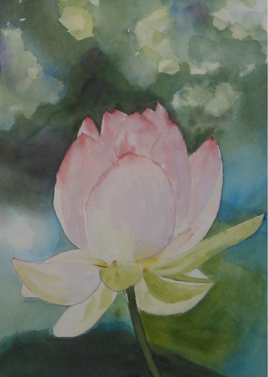 Lotus flower