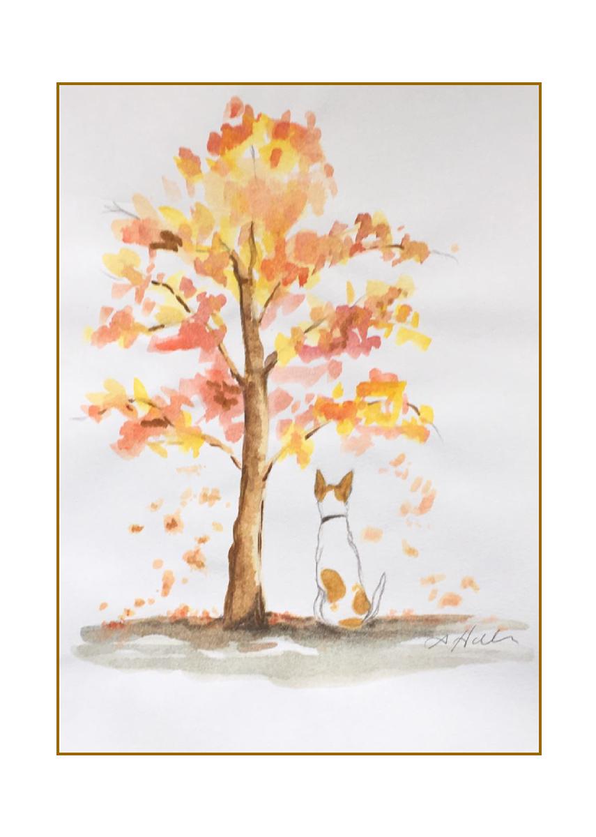 Ochre Dreams