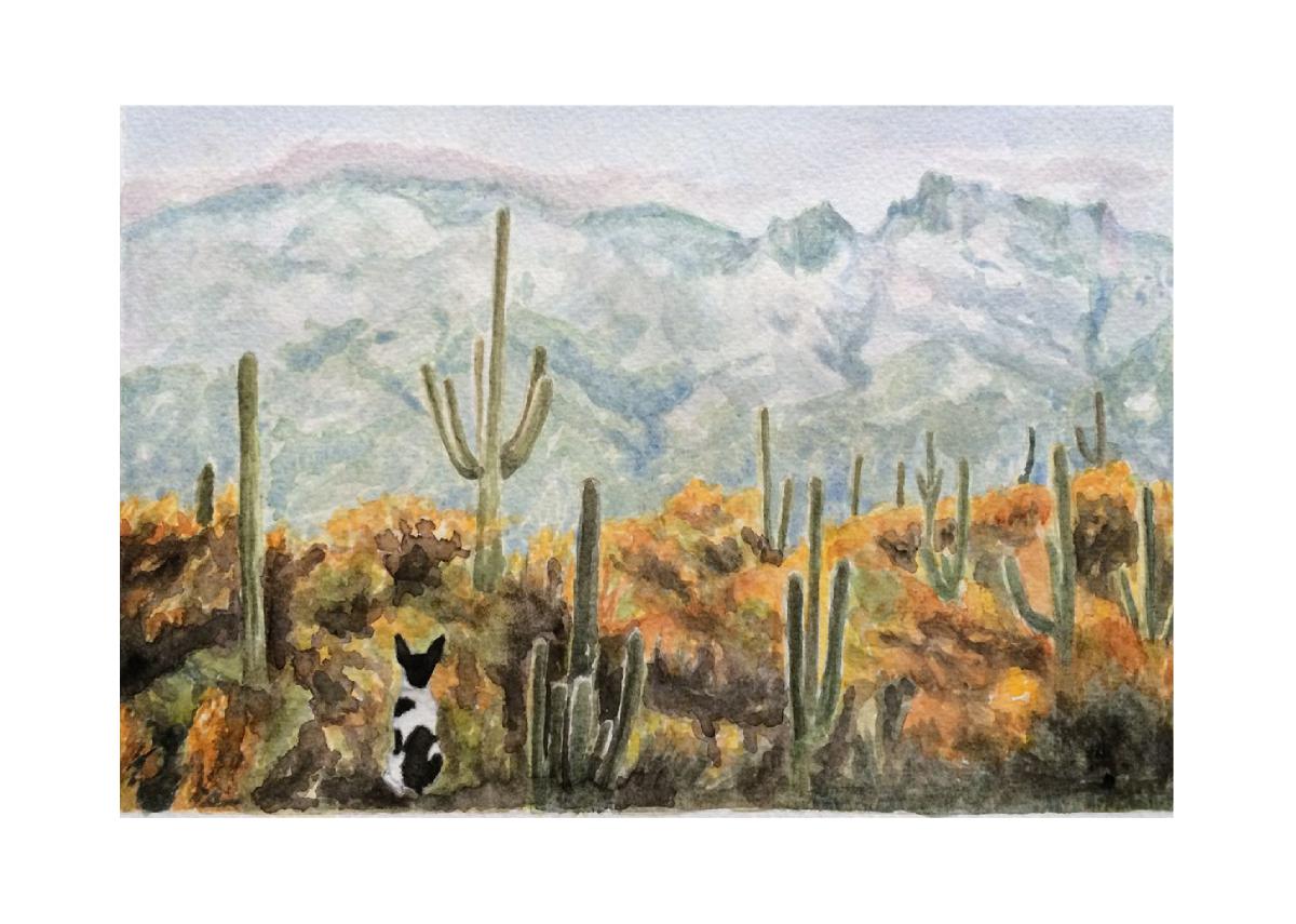 Saguaro sunrise