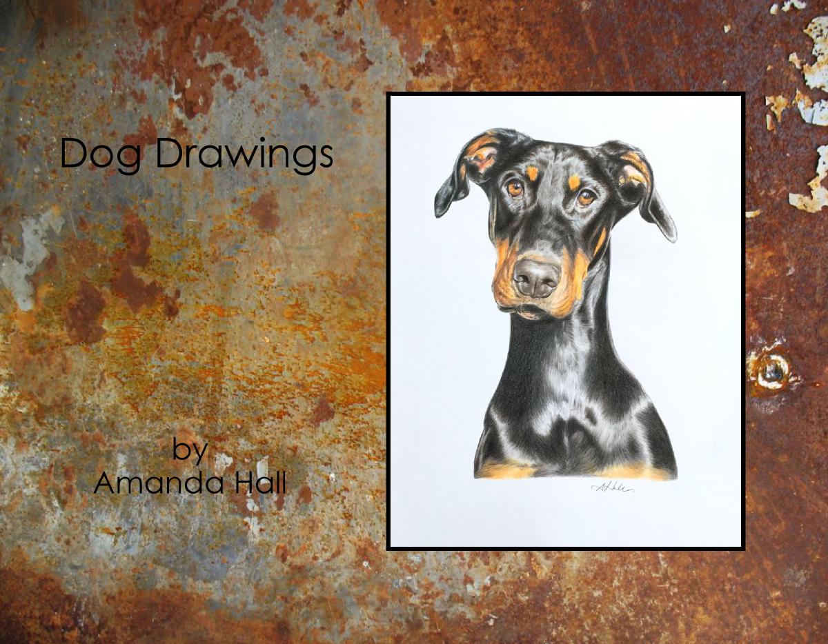Dog Drawings by Amanda Hall
