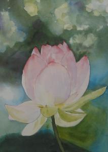 Lotus flower